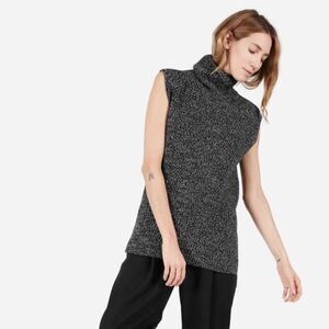 Everlane The Chunky Wool Marled Knit Sleeveless Sweater Turtleneck